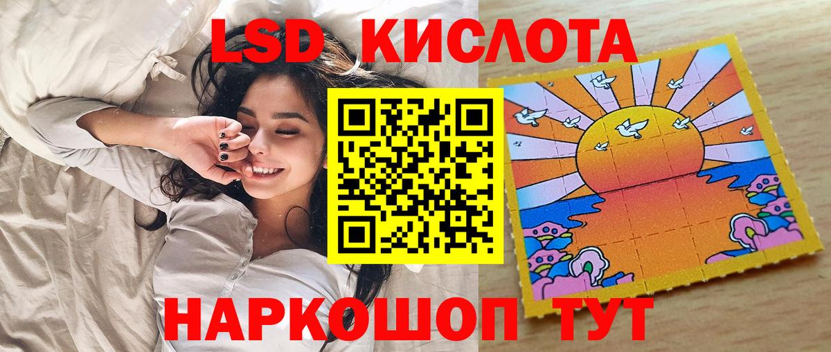 купить наркоту  Вход с VPN  Наркотические марки 1500мкг  Прохладный  Наркотические марки 1500мкг 