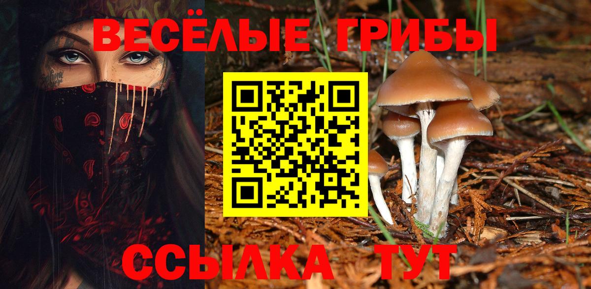 Псилоцибиновые грибы MAGIC MUSHROOMS  Вход с VPN  Прохладный 