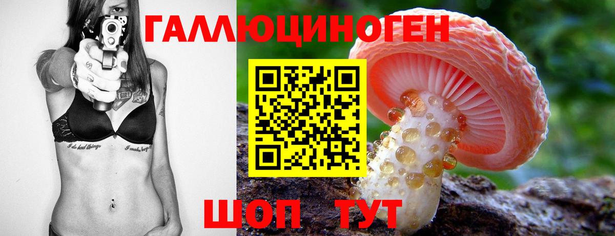 Псилоцибиновые грибы мицелий Прохладный